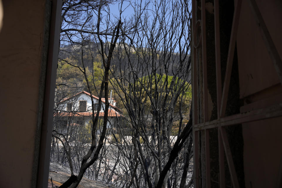 Burnt trees in Acharnes suburb, on Mount Parnitha, in northwestern Athens, Greece, Thursday, Aug. 24, 2023. A major wildfire burning on the northwestern fringes of the Greek capital has torched homes and is now threatening the heart of a national park of Parnitha, one of the last green areas near the Greek capital. (AP Photo/Thanassis Stavrakis)