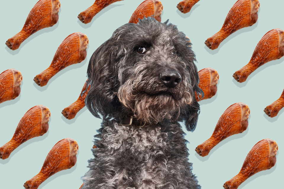 illustration of black dog with a pattern of turkey legs behind him