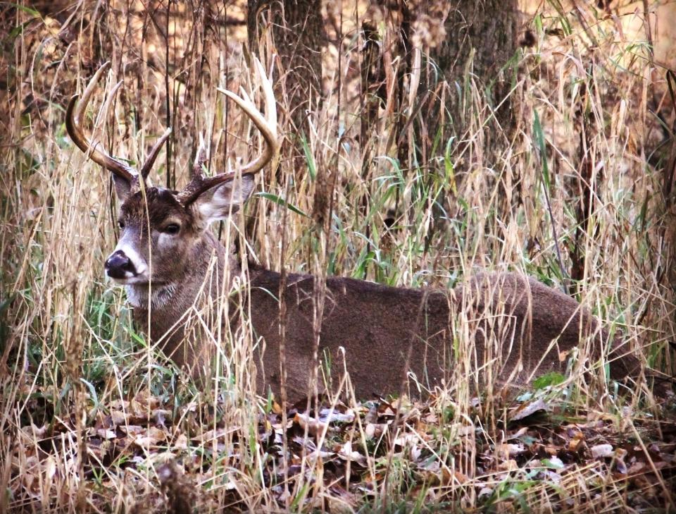 Ohio hunters checked 70,413 deer during the weeklong gun season that concluded Sunday.