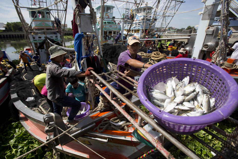 FILE - In this Sept. 3, 2013, file photo, fishermen unload fish following a fishing trip in the Gulf of Thailand in Samut Sakhon Province, west of Bangkok. Thailand reported more than 500 new coronavirus cases on Saturday, Dec. 19, 2020, the highest daily tally in a country that had largely brought the pandemic under control. (AP Photo/Sakchai Lalit, File)