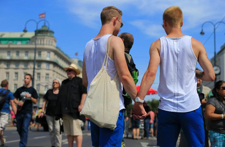 People are seen attending the Rainbow Parade march, bringing together lesbian, gay, bisexual, transgender and transsexual community, in Vienna, on June 15, 2013