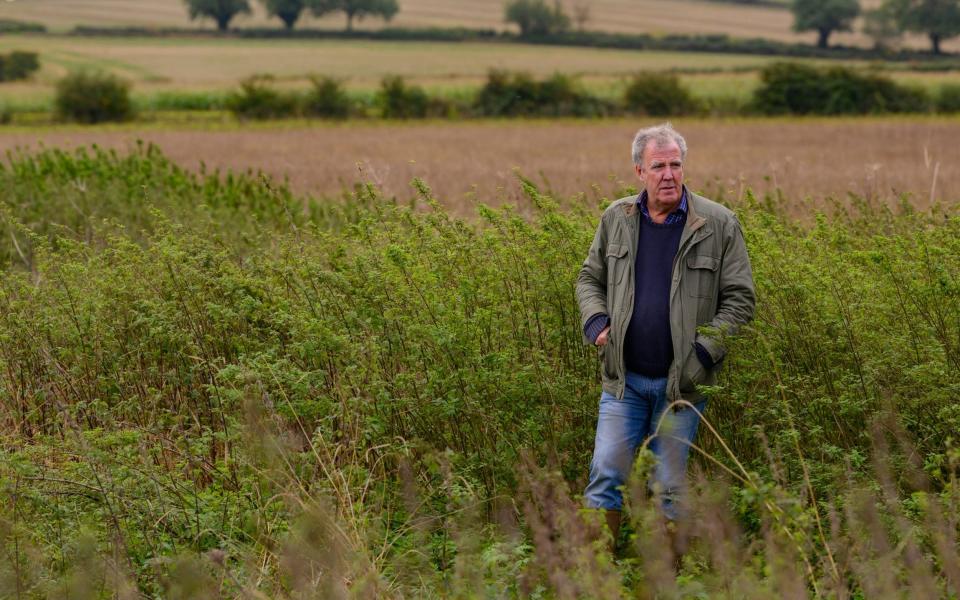 Clarkson's farm is clearly managed sensitively to preserve wildlife habitats - Amazon Prime