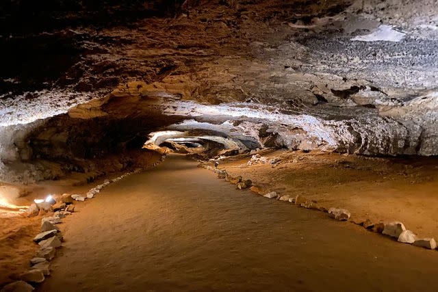 <p>Courtesy of Mammoth Cave National Park</p>