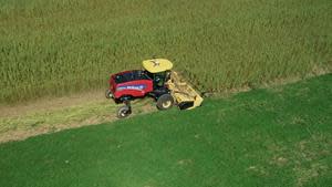 Behind the Wheel: Industrial Hemp Harvest in North America