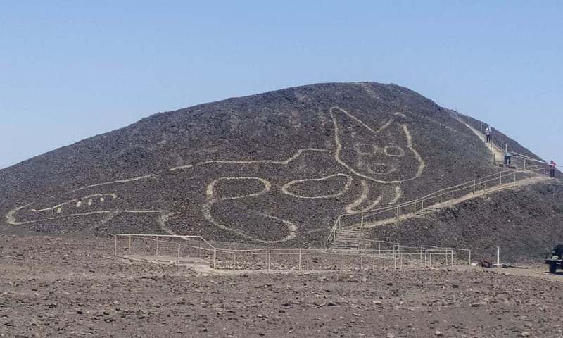 最新發現嘅「納斯卡線」，圖案竟然係一隻貓！ （圖：Historydiscovery@IG)  