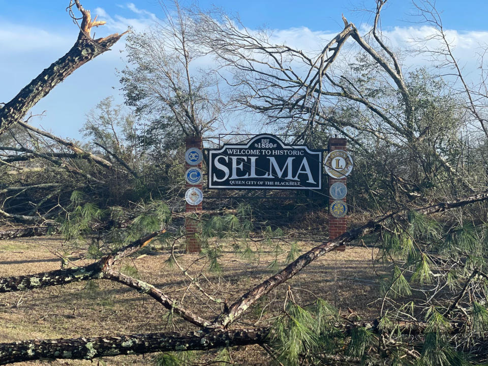 Fallen trees are seen in the aftermath of severe weather, Thursday, Jan. 12, 2023, in Selma, Ala. A large tornado damaged homes and uprooted trees in Alabama on Thursday as a powerful storm system pushed through the South. (AP Photo/Butch Dill)