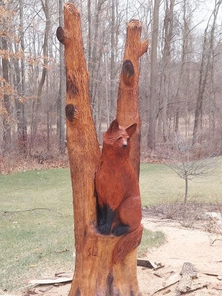 Scott Lepley created a fox in a tree from a customer's tree stump.