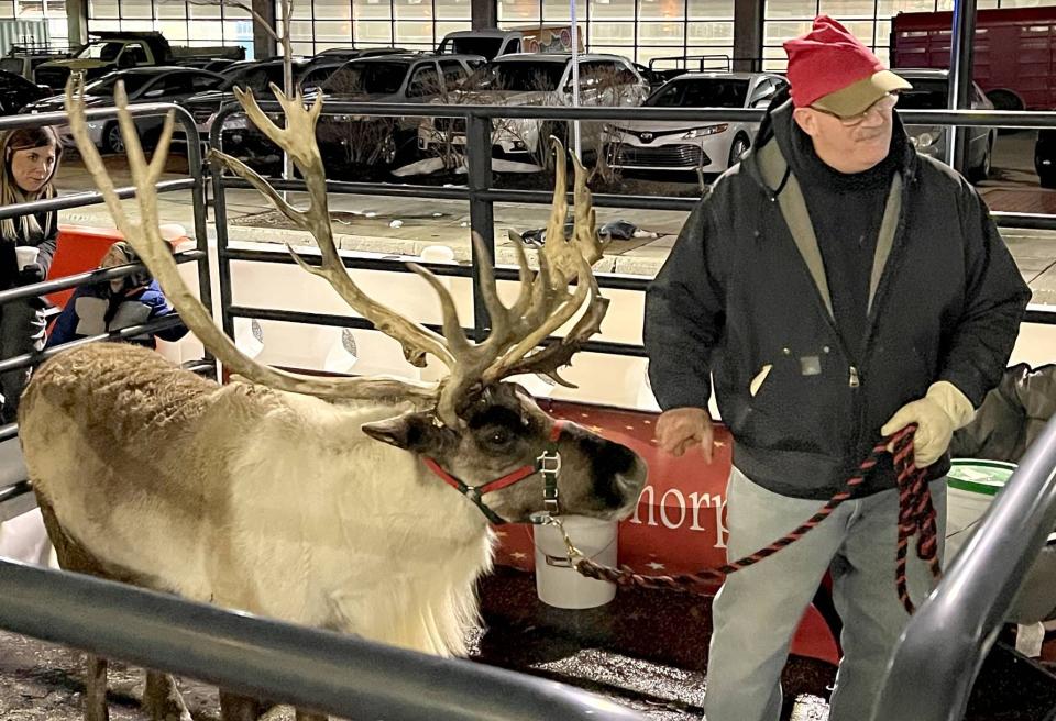 Rudolph the reindeer, from Apthorp Farms, was outside the Experience Children's Museum during Downtown D'Lights on Friday.