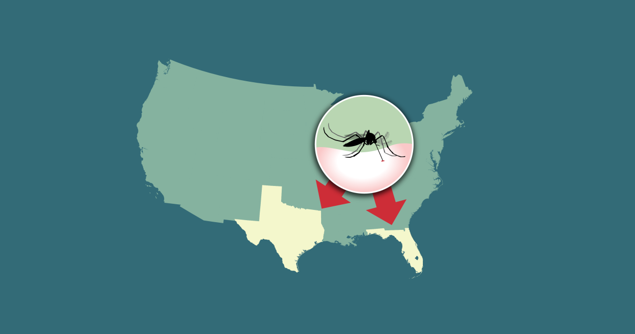 More locally-acquired malaria cases reported in US.