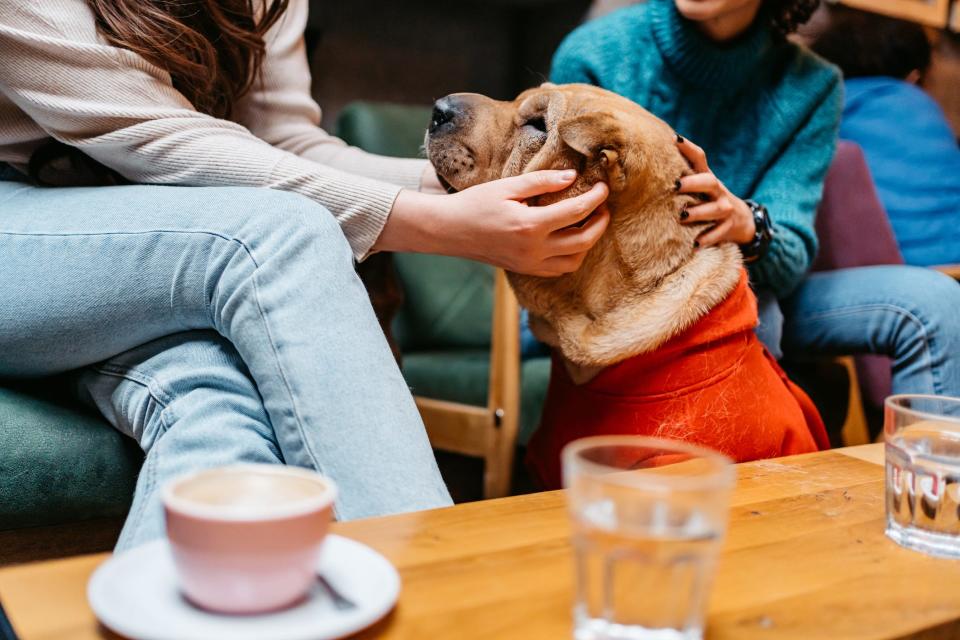 Two friend sitting at a coffee shop petting a dog.