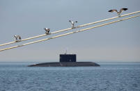 <p>Seagulls seat on a rope as a submarine sails during a rehearsal for the Navy Day parade in the far eastern port of Vladivostok, Russia, July 30, 2016. (Photo: Yuri Maltsev/Reuters) </p>