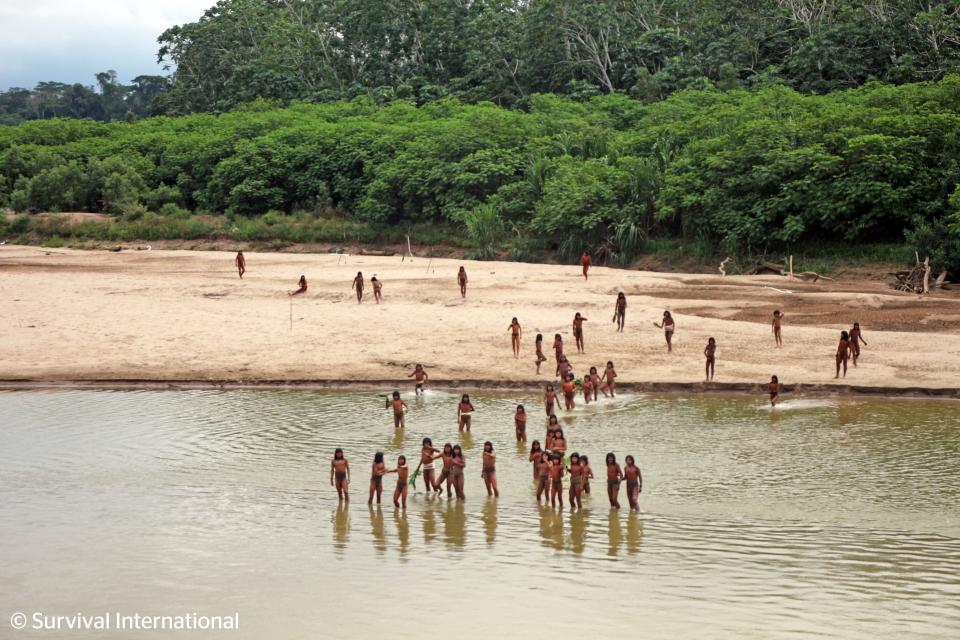 More than 50 Mashco Piro people, a previously uncontacted tribe, appeared in the Peruvian Amazon in southeast Peru in new photos from human rights group Survival International.