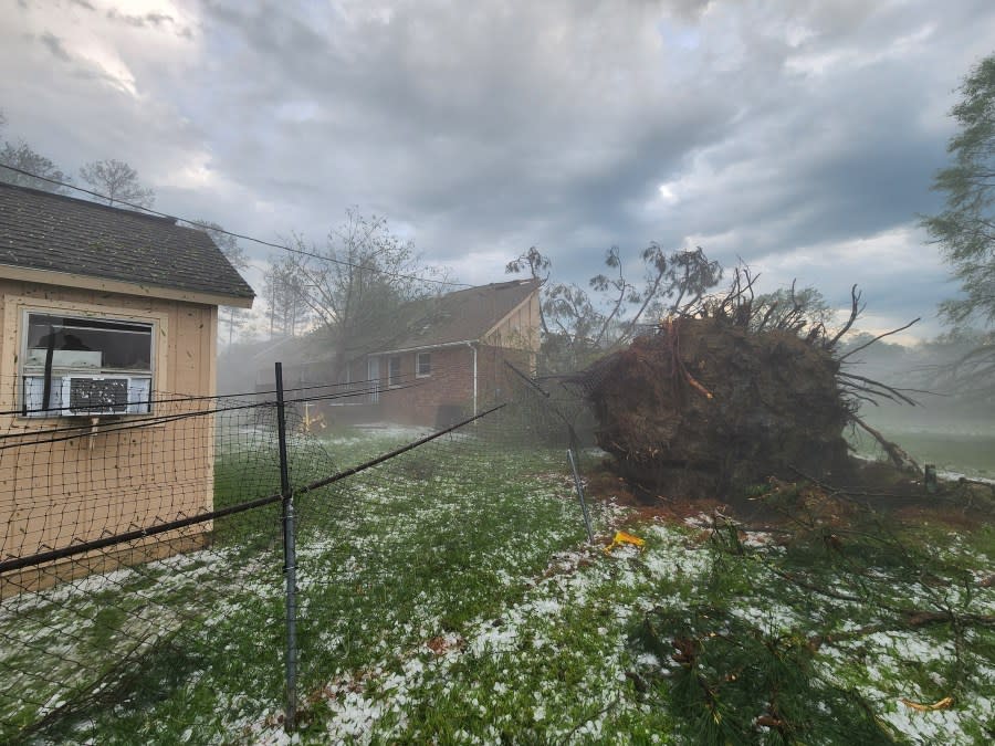 Storm damage (Chatham McKinny)