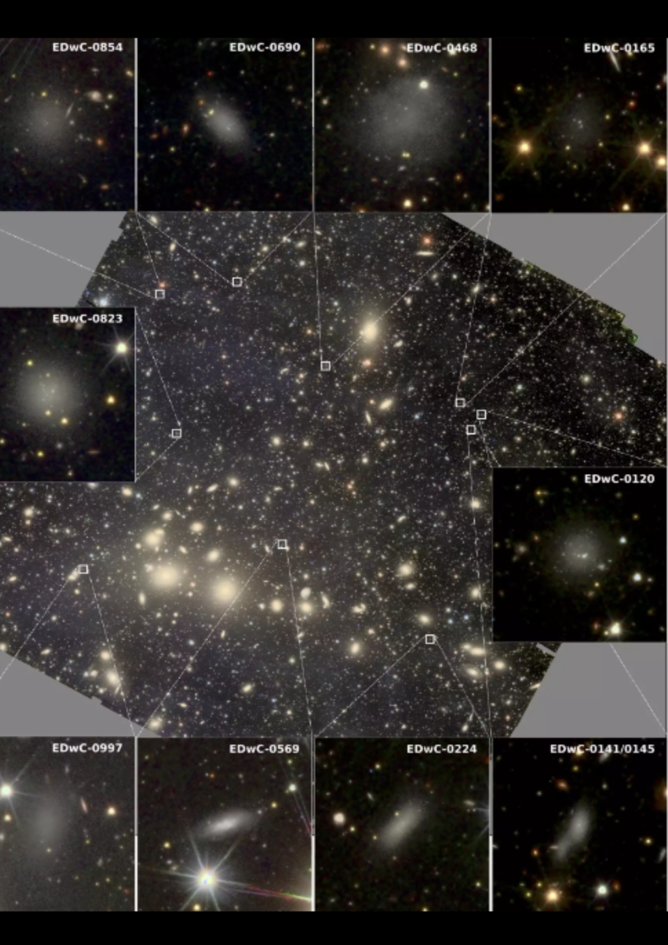 Zoomed-in images of the Perseid Cluster as seen by Euclid, showing dwarf galaxies