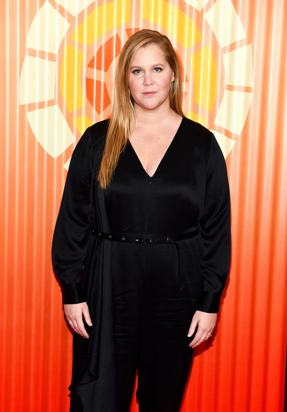 Amy Schumer for Elizabeth Warren