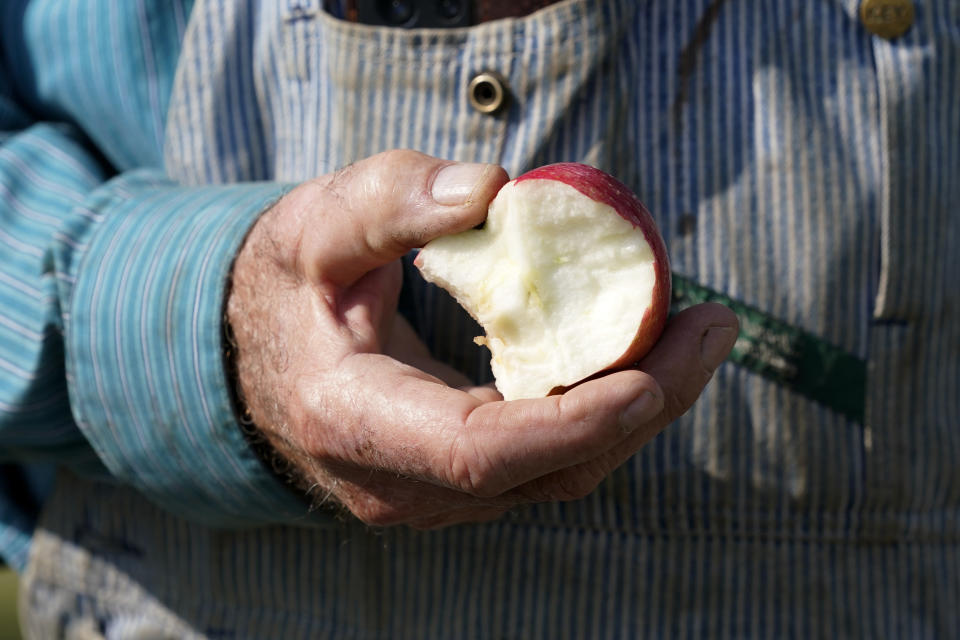 George Naylor holds an organic apple grown on his farm, Tuesday, Sept. 13, 2022, near Churdan, Iowa. Naylor, along with his wife Patti, began the transition to organic crops in 2014. The demand for organics has increased so fast that the U.S. Department of Agriculture last month committed up to $300 million to help farmers switch from conventional crops. (AP Photo/Charlie Neibergall)