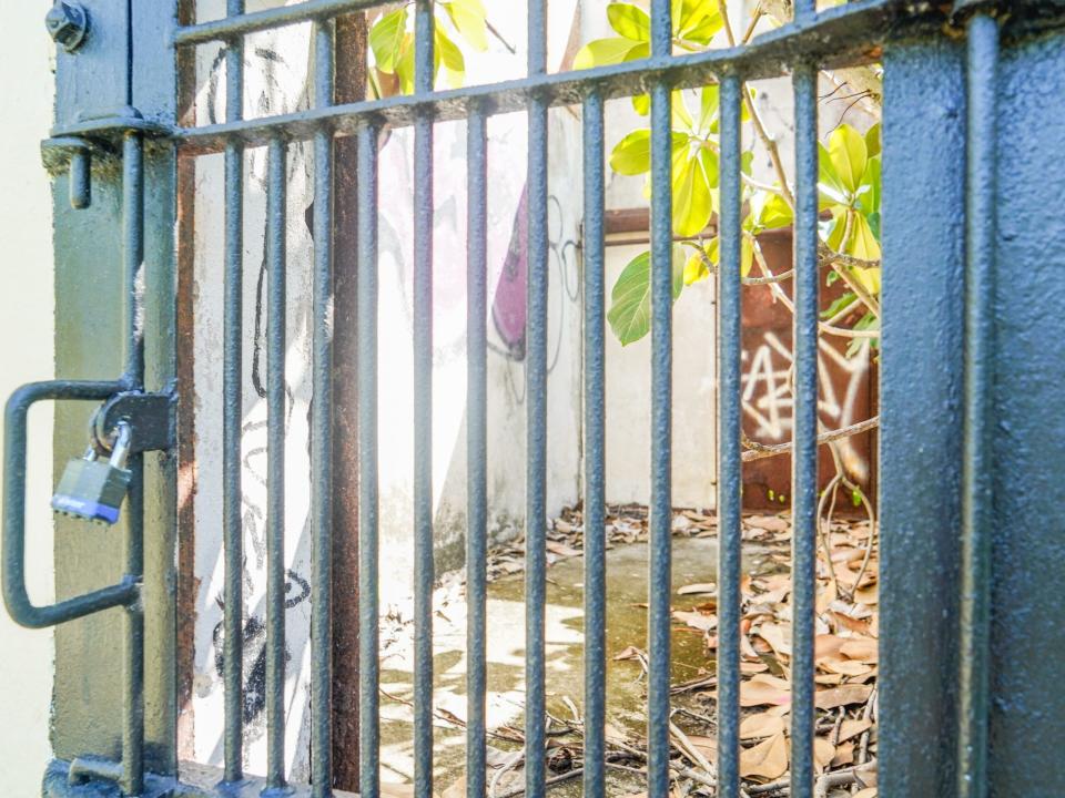 Inside cages at the abandoned zoo