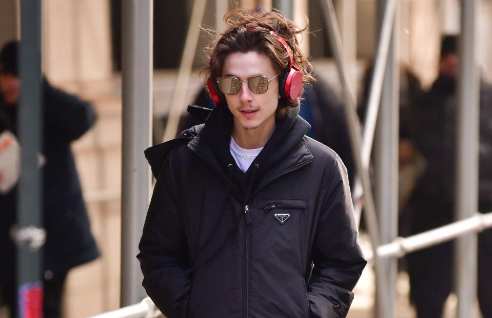 Timothee Chalamet