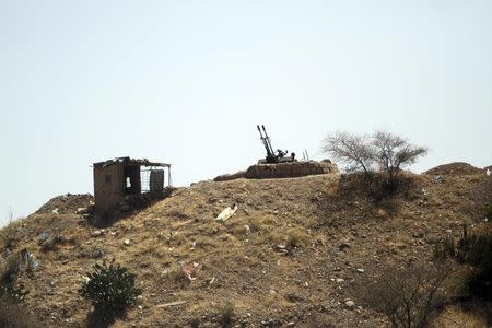 An anti-aircraft weapon is pictured on a hill in a special Security Forces camp in Taiz March 26, 2015.REUTERS/Mohamed al-Sayaghi