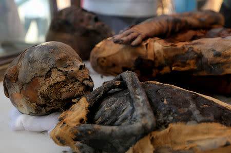 Two mummies, of a woman and child, are on display at the newly discovered burial site, the Tomb of Tutu, at al-Dayabat, Sohag, Egypt April 5, 2019. REUTERS/Mohamed Abd El Ghany