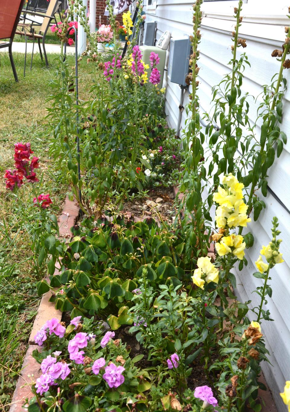 Flower beds are showing the stress of the hot summer sun this week in Somerset County.