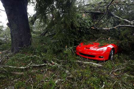 Leaves, branches and other debris surround and cover a sports car after Hurricane Florence hit Wilmington, North Carolina, U.S., September 14, 2018. REUTERS/Jonathan Drake