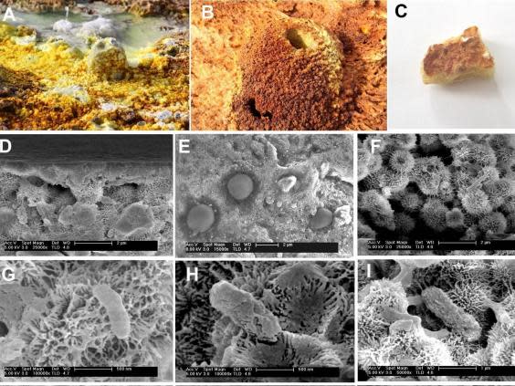 The team collected thin layers of salt deposits and transported them to Spain: a) b) and c) show the samples; d) to i) show them under electron microscopy (Gomez et al/Europlanet)