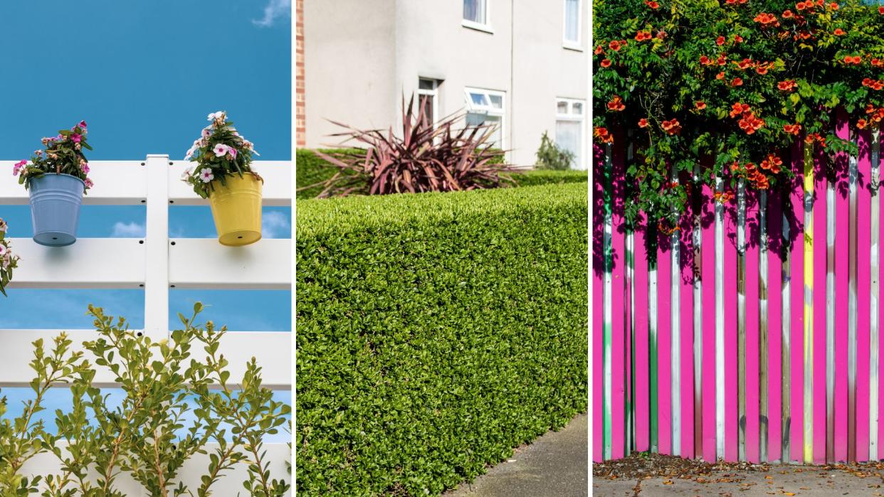  Three different types of fence ideas, including a white picket fence, a hedge and pink slats. 