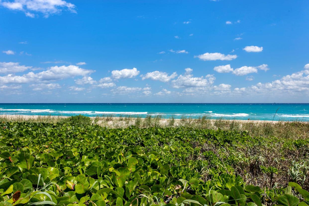 Residents of Beach Point have immediate access from the property to the beach.