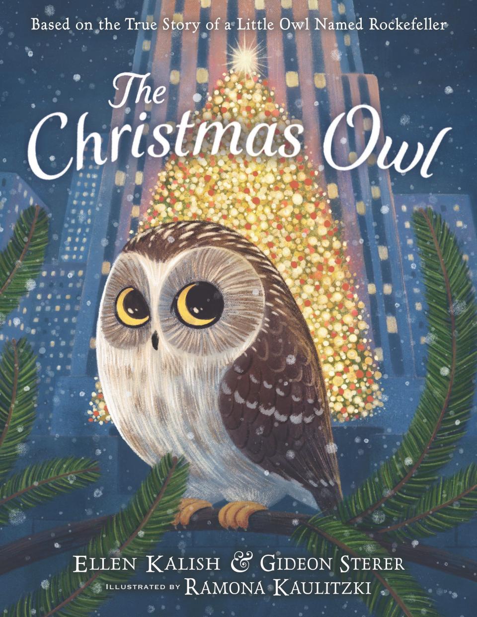 This photo shows the book cover for “The Christmas Owl” by Ellen Kalish and Gideon Sterer. (Little, Brown Books for Young Readers via AP)