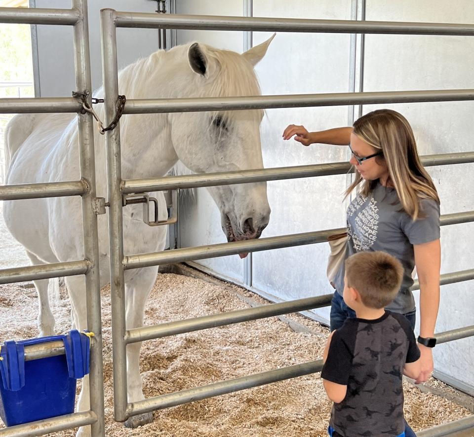 Zeus, a 26-year-old Percheron-Thoroughbred crossbreed, is retiring from the Scottsdale Police Department after 18 years of service.