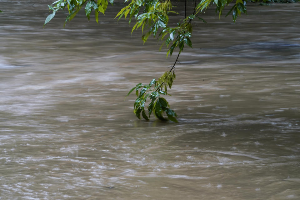 Water rises in Peachtree Creek near Atlanta, as hurricane Fred makes its way through north and central Georgia on Tuesday, Aug. 17, 2021. (AP Photo/Brynn Anderson)