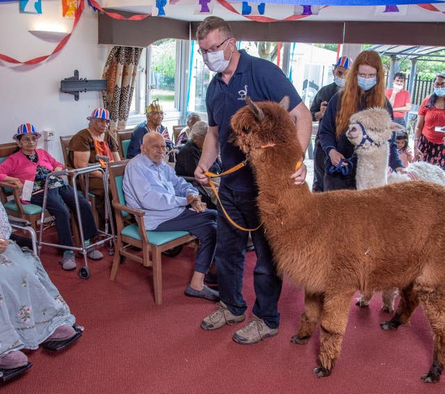 Residents with alpacas at Asra House Residential Care Home in Leicester