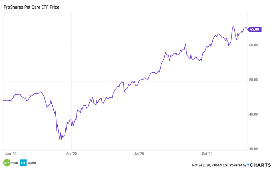 PAWZ YTD Performance