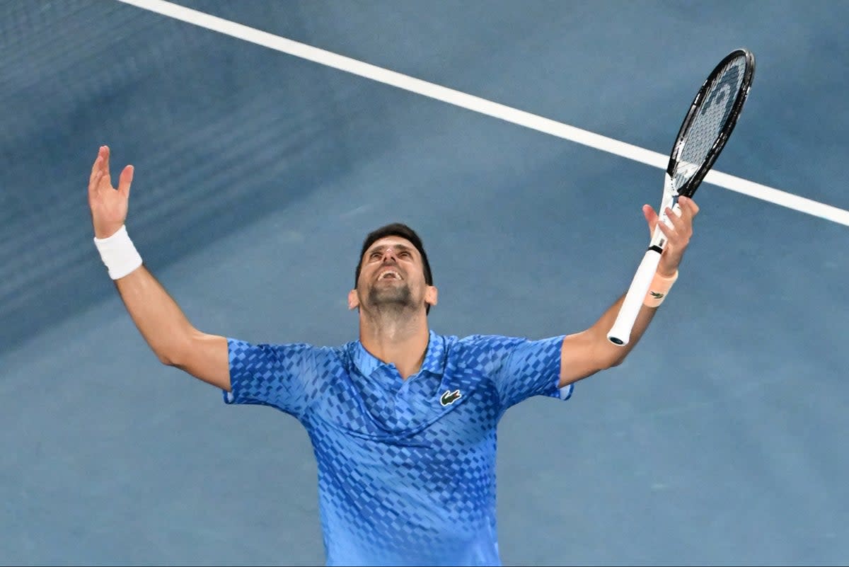 Champion: Novak Djokovic  (AFP via Getty Images)