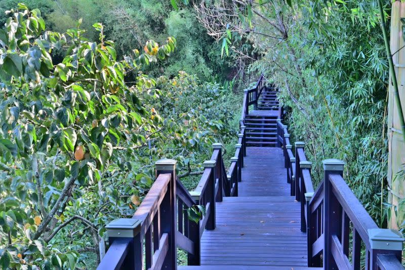 ▲中市府推薦秘境登山步道「觀音山」及「鳳凰山登山步道」，這裡風景四季各有不同風情之美(圖／觀旅局提供2021.2.11)