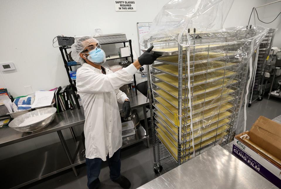 Tyrell Goshorn, Dragonfly production manager, pulls out a tray of pineapple flavored Experience Active edibles, with a 3:3:1 ratio of CBG, CBD and THC, at the Dragonfly processing plant in South Salt Lake on Friday, March 24, 2023. | Kristin Murphy, Deseret News
