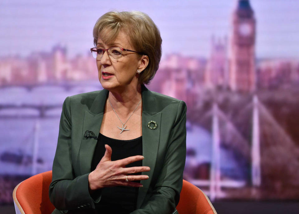 The Leader of the House of Commons Andrea Leadsom appearing on The Andrew Marr Show on Sunday (Picture: PA)