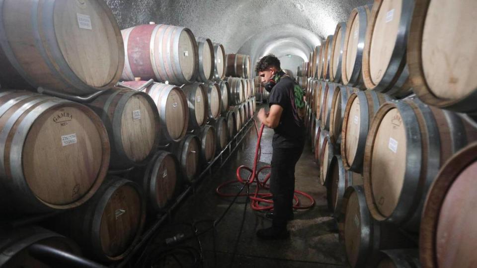 Joseph Fernandez cleans the floor of the wine cave at Eberle winery. seen here Jan.9, 2024.