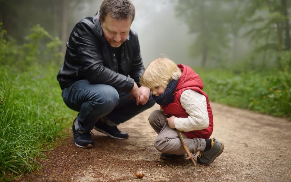 Wald entdecken