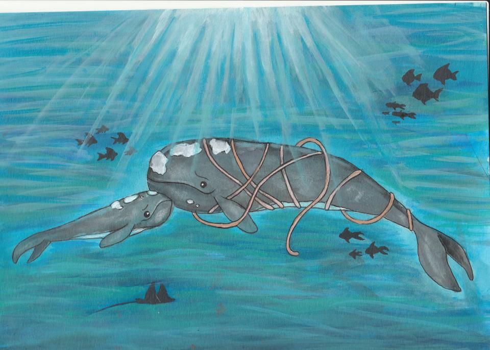 The calf of an entangled Right whale seeks help in G. Mischele Miller's children's book, “Riley the Right Whale and His Friend Kyle.”