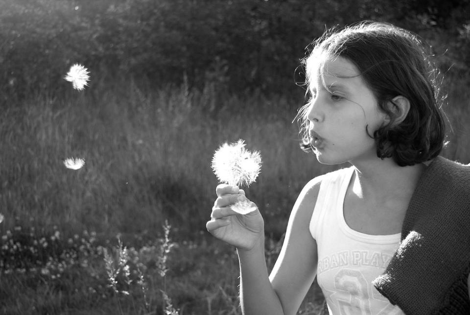 Dandelion clock