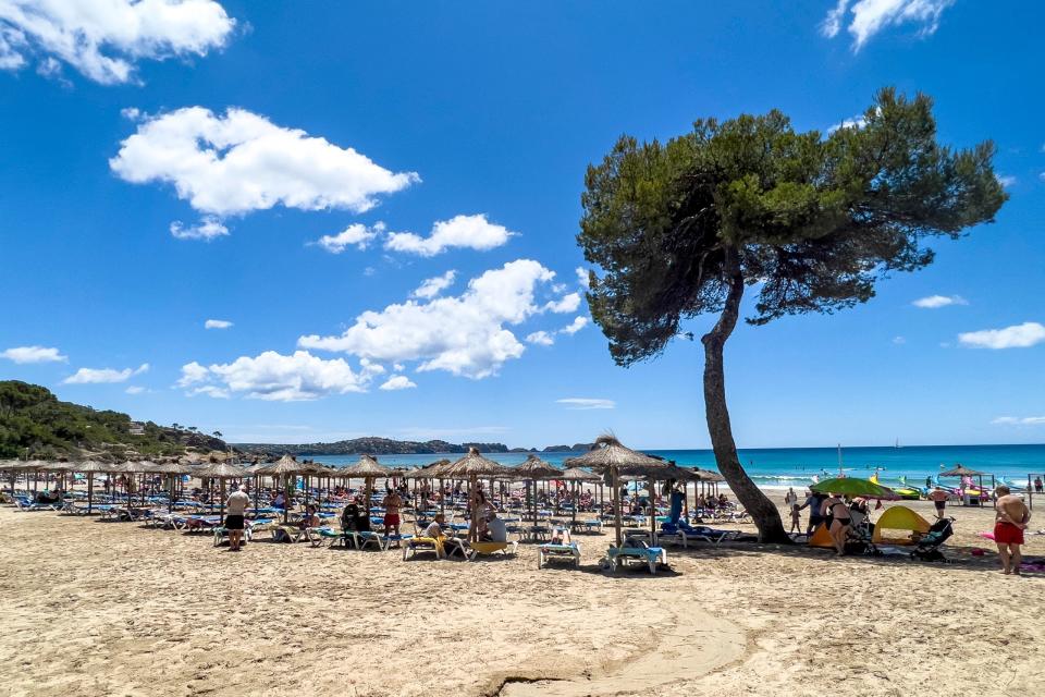 Sommer, Urlaub, Ferien: Urlauber liegen am Strand Platja de Tora in Paguera auf Mallorca unter Sonnenschirmen. - Copyright: picture alliance / Kirchner-Media | David Inderlied