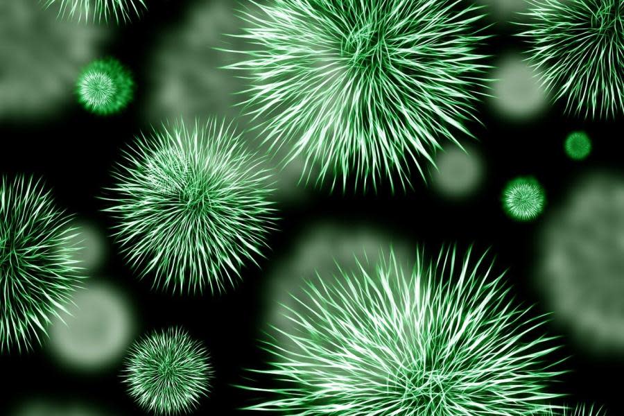 ¡Alerta de salud! Casos de Norovirus van en aumento en Estados Unidos