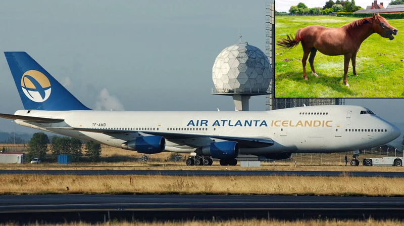 A Boeing 747-200 and a horse.