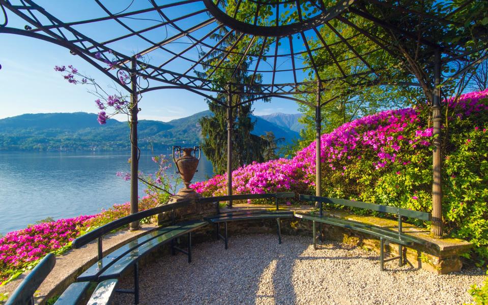 Wander amid rhododendrons and azaleas at Villa Carlotta, Lake Como