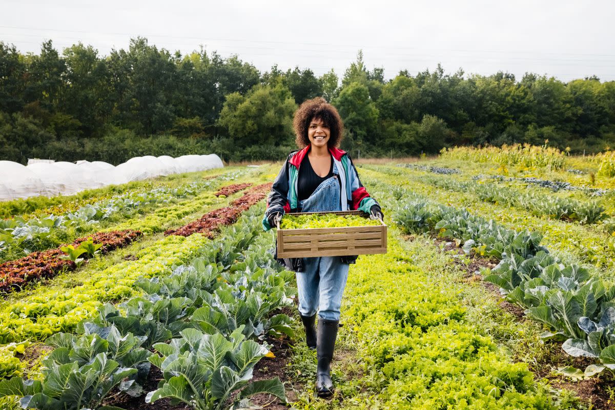 USDA Announces 2 Billion Settlement For Black And Minority Farmers