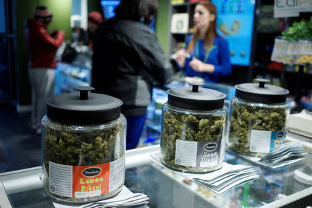 FILE PHOTO: Customers shop for "Green Friday" deals at the Grass Station marijuana shop on Black Friday in Denver, Colorado, U.S., November 28, 2014. REUTERS/Rick Wilking/File Photo