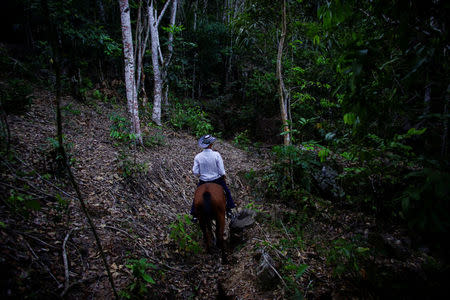 Farmer Javier Tamayo, 55, rides his horse in the mountains near the village of Santo Domingo, in the Sierra Maestra, Cuba, March 31, 2018. REUTERS/Alexandre Meneghini