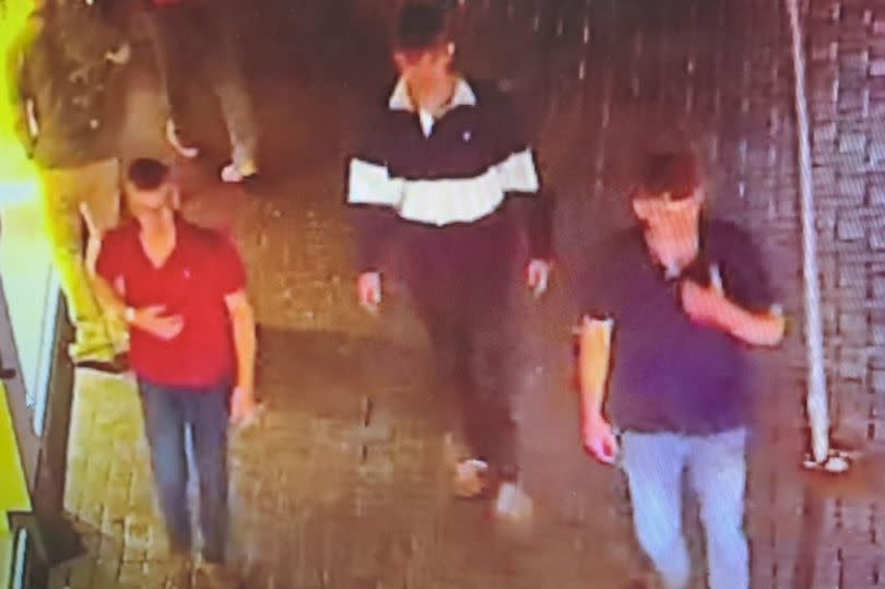 Police would like to speak to this group of men after a seagull was killed